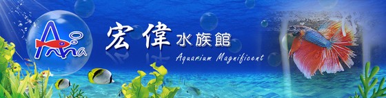 店家上圖檔